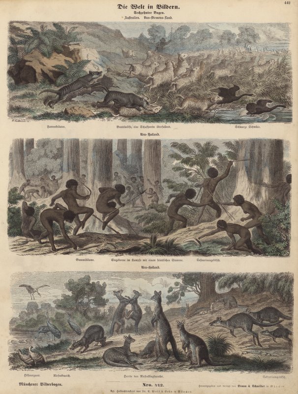 Australia (kolorowy grawerunek) autorstwa German School