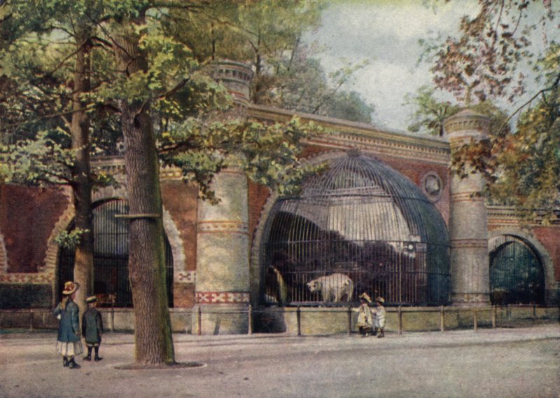Wybieg dla niedźwiedzi, Ogród Zoologiczny w Berlinie, Niemcy (kolor lito) autorstwa German School
