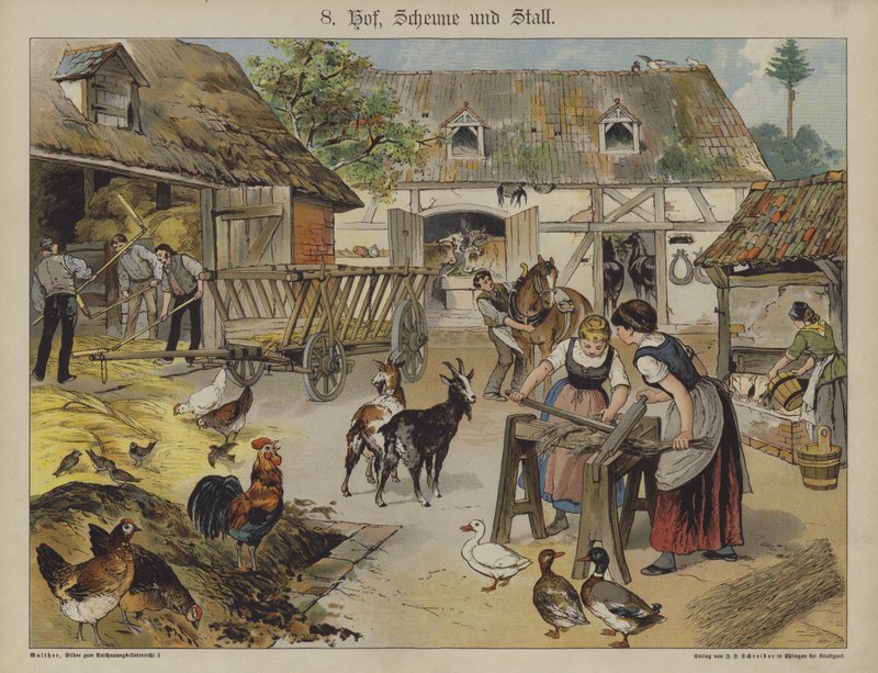 Farma (kolor lito) autorstwa German School