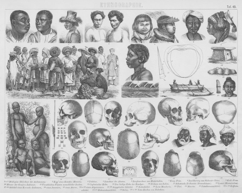 Ilustracja do Bilder-Atlas: Rasy i czaszki (grafika) autorstwa German School