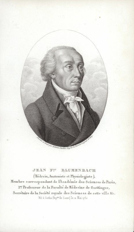 Johann Friedrich Blumenbach autorstwa German School