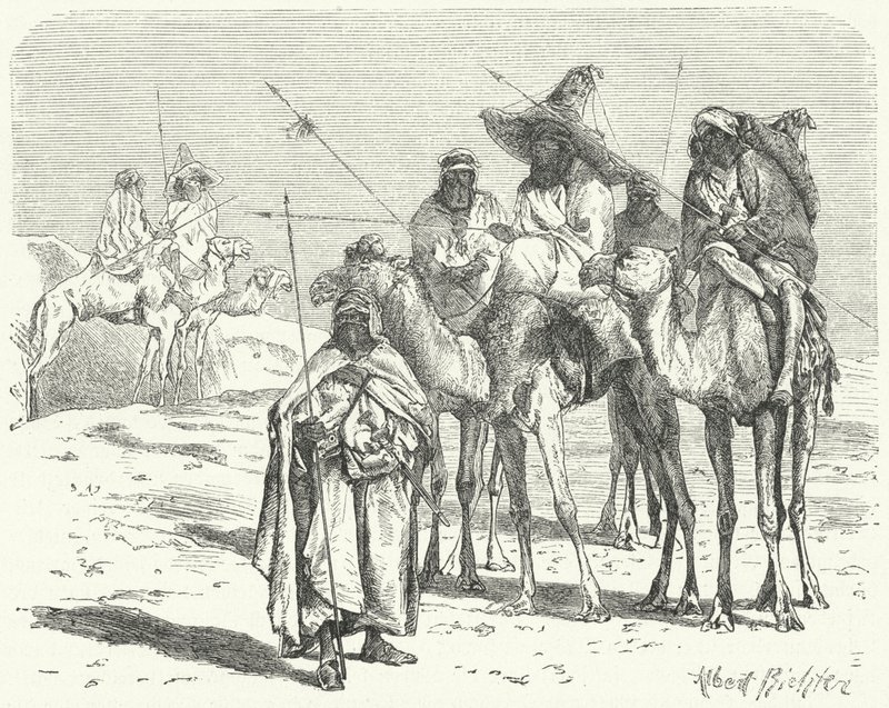 Tuaregowie (grawerowanie) autorstwa German School