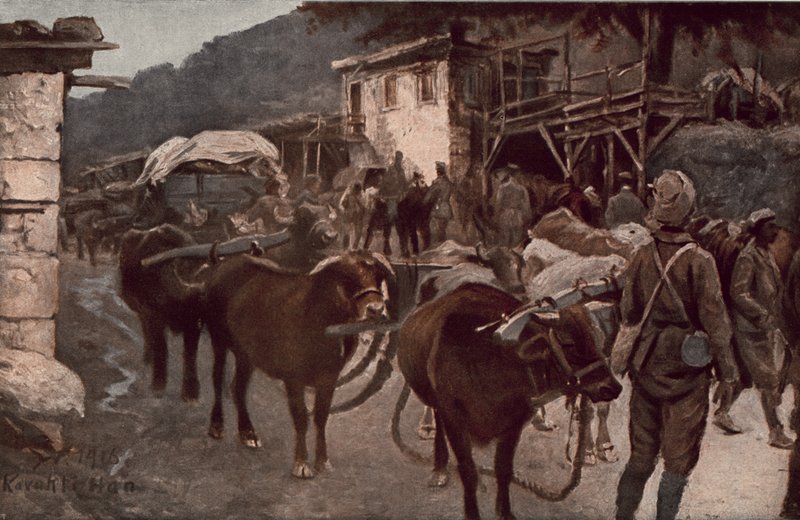 Turcja w wojnie światowej autorstwa German School