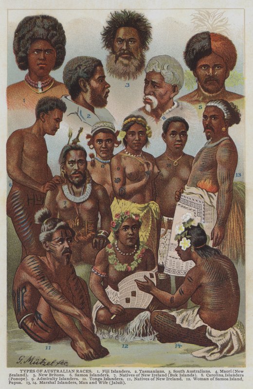 Rodzaje ras australijskich (kolor lito) autorstwa German School