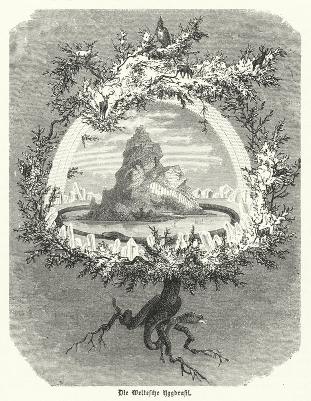 Yggdrasil, mityczny jesion nordyckiej kosmologii (rycina) autorstwa German School