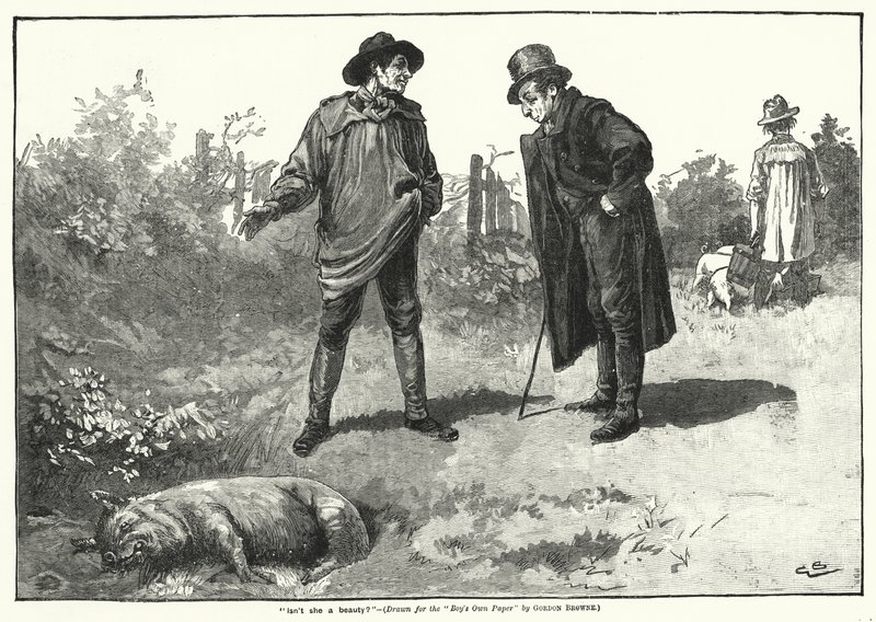 "Czyż nie jest piękna?" (grawerunek) autorstwa Gordon Frederick (after) Browne
