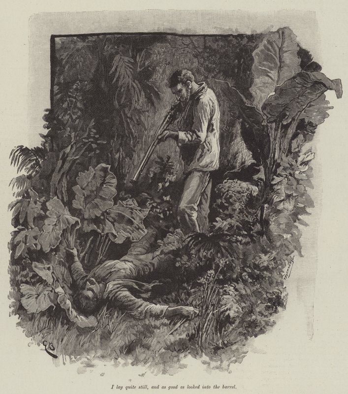 Uma, czyli plaża w Falesie - Robert Louis Stevenson autorstwa Gordon Frederick Browne