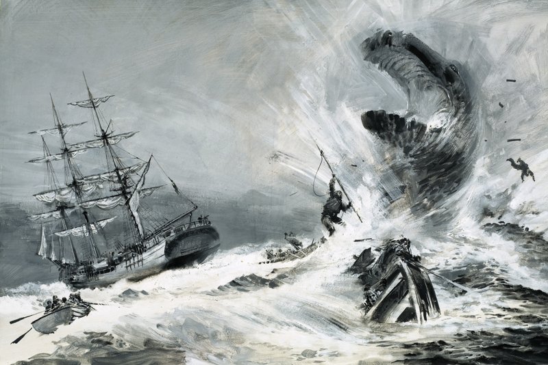 Czy naprawdę istniał tajemniczy potwór terroryzujący światowe oceany autorstwa Graham Coton