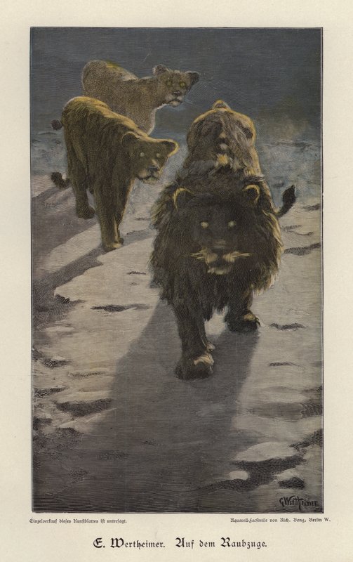 On the Raid (kolorowy grawerunek) autorstwa Gustav Wertheimer