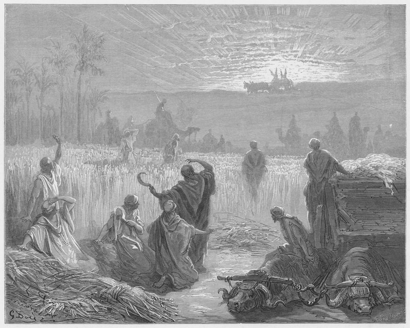 Biblia Gustawa Dore: Powrót Arki do Bet-Szemesz autorstwa Gustave Dore