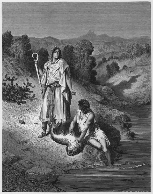 Biblia Gustawa Dore