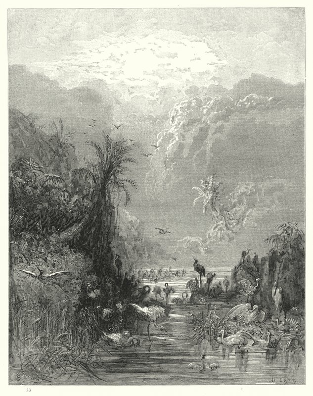 Ilustracja Gustave