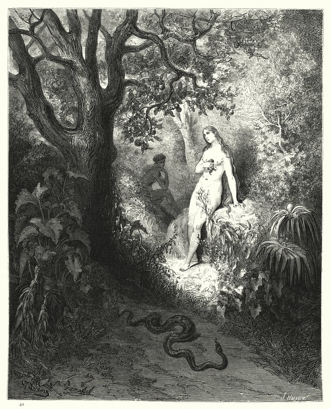 Ilustracja Gustave