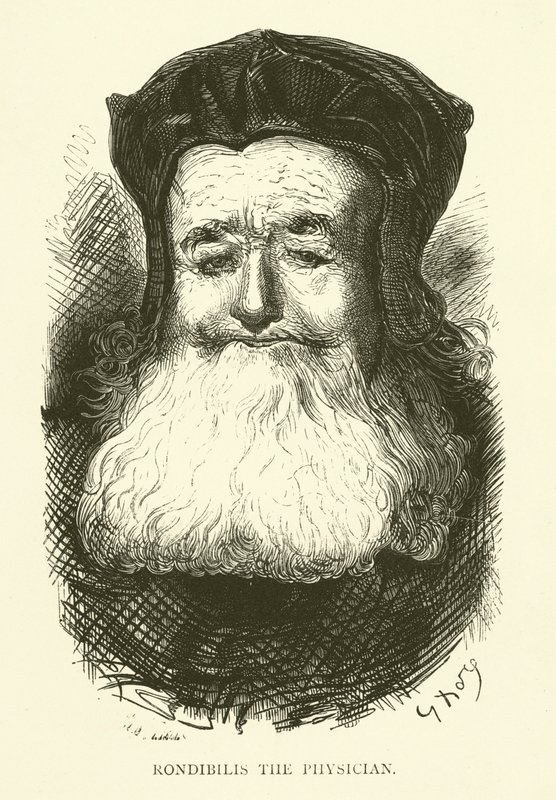 Ilustracja do dzieł Rabelais autorstwa Gustave after Dore