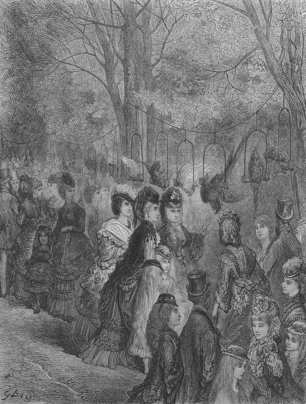 Ogród Zoologiczny, Ptaki autorstwa Gustave after Dore