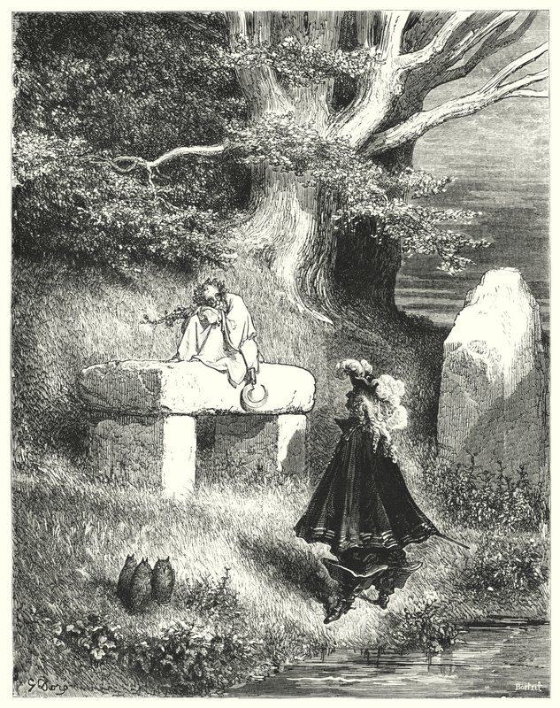 Peau-D"Ane; Osioł Skóra autorstwa Gustave Dore