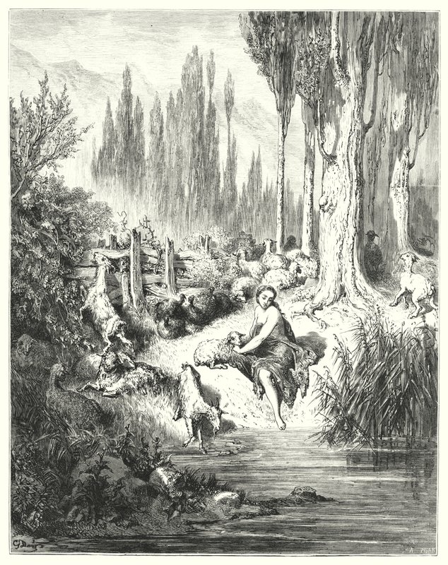 Peau-D"Ane; Osioł Skóra autorstwa Gustave Dore