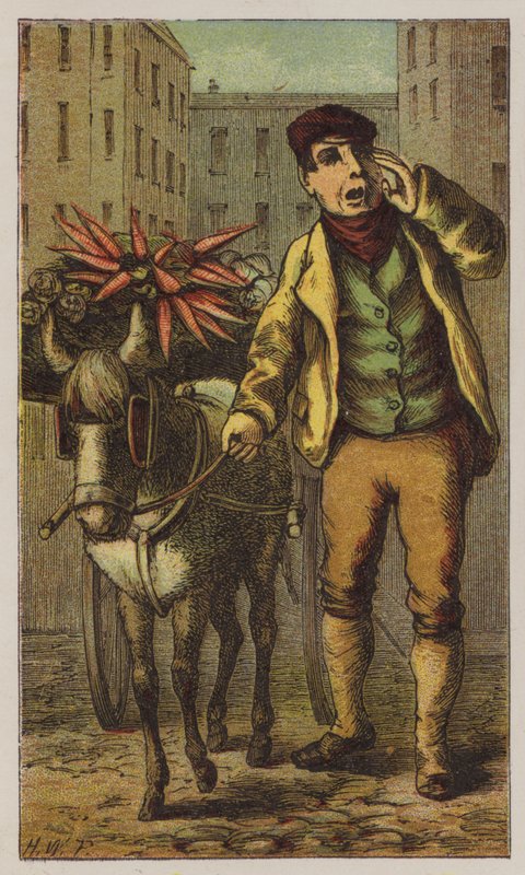 Costermonger (kolor lito) autorstwa H.W. (after) Petherick