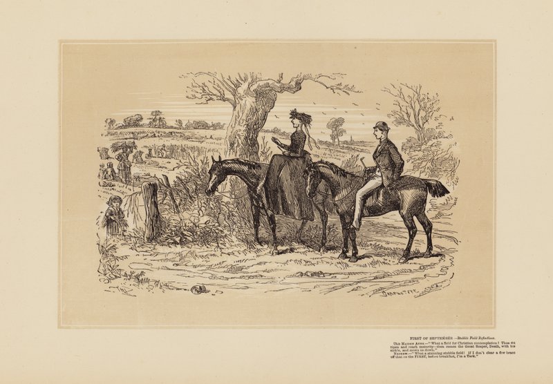 Bardzo dobre pole do refleksji (grawerunek) autorstwa Hablot Knight (1815 92) Browne