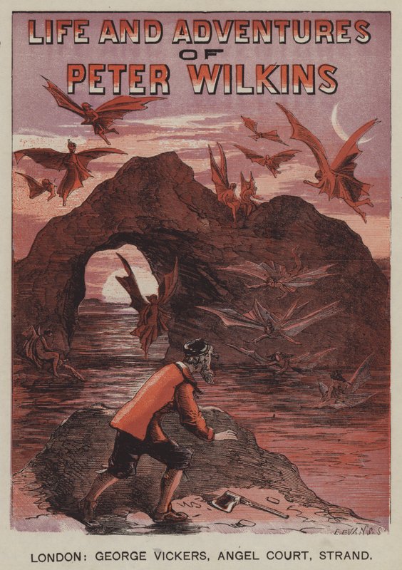 Życie i przygody Petera Wilkinsa (litografia kolorowa) autorstwa after Hablot Knight Browne