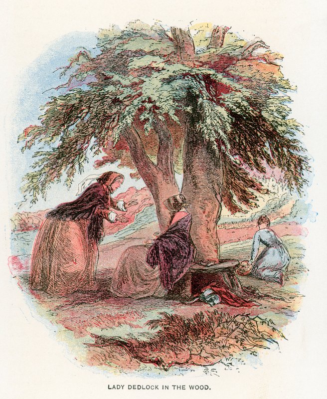 Ilustracja do Ponurego Domu autorstwa Hablot Knight Browne