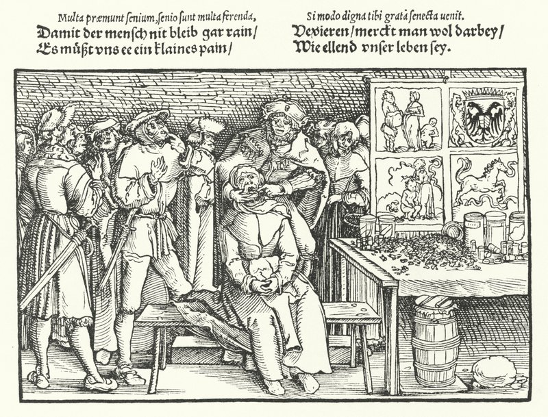 próchnica (grawerowanie) autorstwa Hans (after) Burgkmair