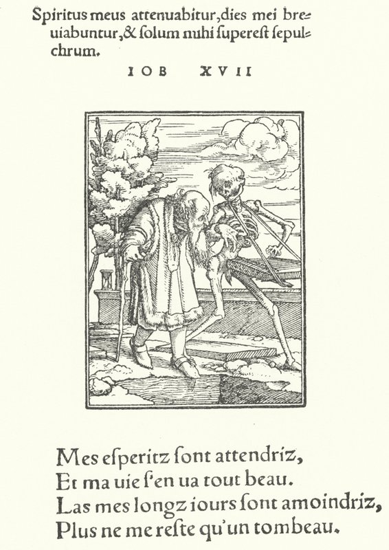 Stary człowiek (rycina) autorstwa Hans (after) Holbein the Younger