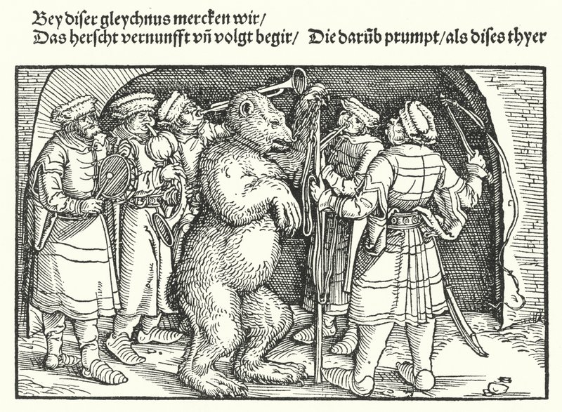 Niedźwiedź Trenerzy autorstwa Hans Burgkmair