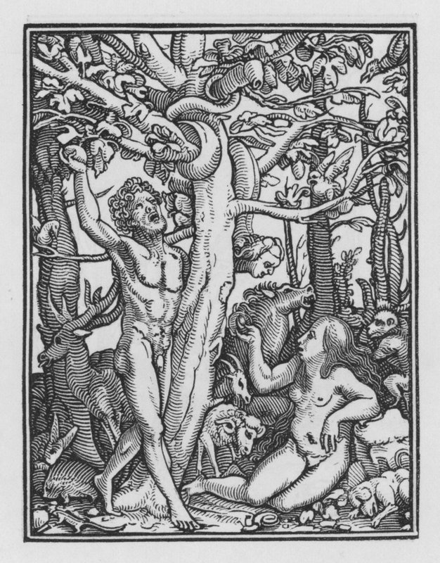 Taniec śmierci Holbeina: pokusa autorstwa Hans after Holbein the Younger