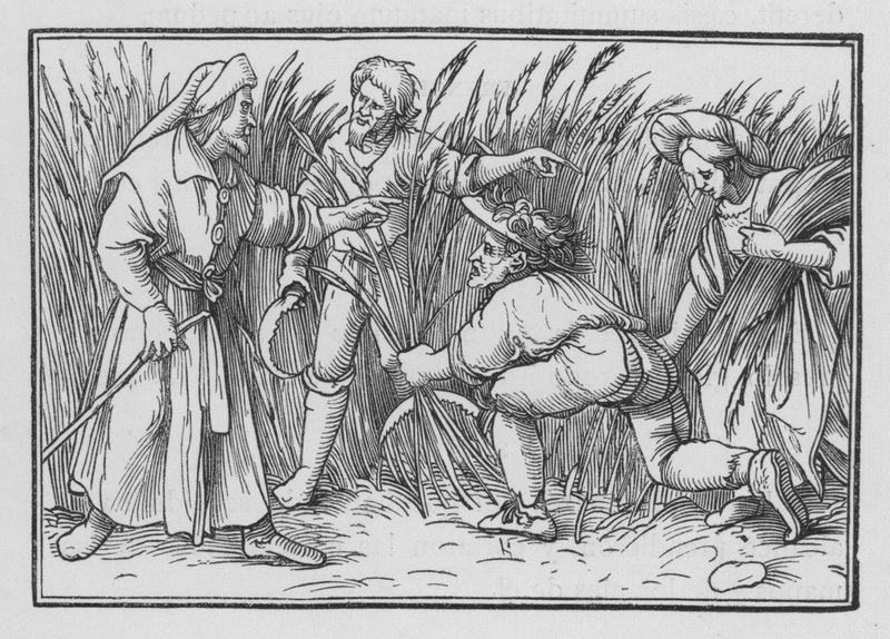 Ruth Gleaneth na polach Boaza, Ruth II, 5 autorstwa Hans after Holbein the Younger