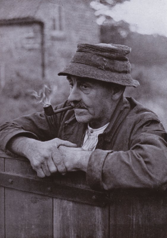 Trzy narysowania starego wrzośca (zdjęcie czarno-białe) autorstwa Harold Burdekin