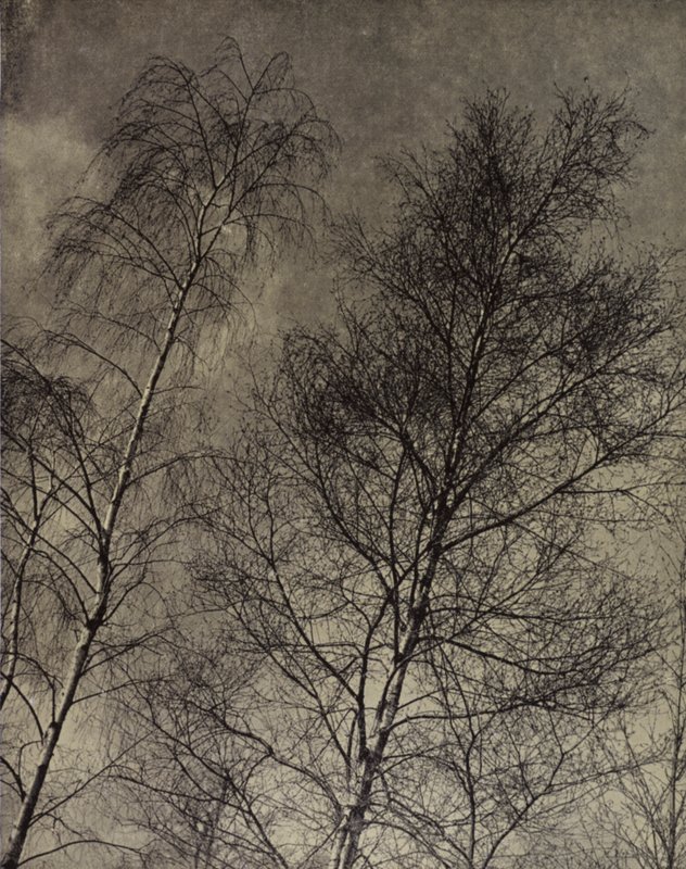 ich urok jest wypisany Wzdłuż płynnego nieba, Robert Bridges (zdjęcie czarno-białe) autorstwa Harold Burdekin