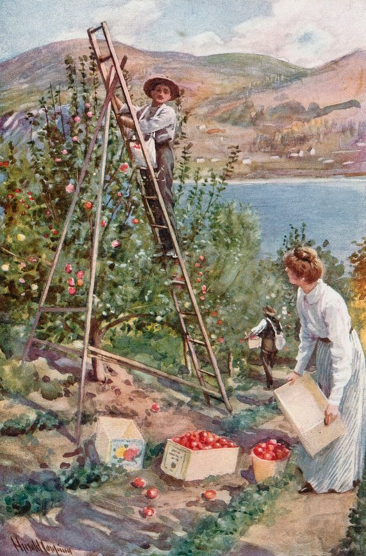 Ranczo z owocami w Nelson, Kolumbia Brytyjska autorstwa Harold Copping