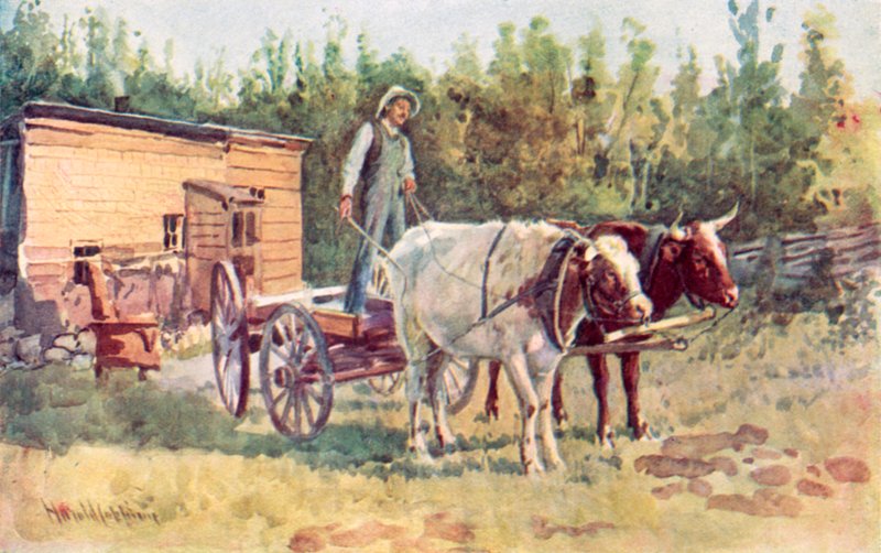 Chałupa kawalerów i jego zaprzęg wołów autorstwa Harold Copping