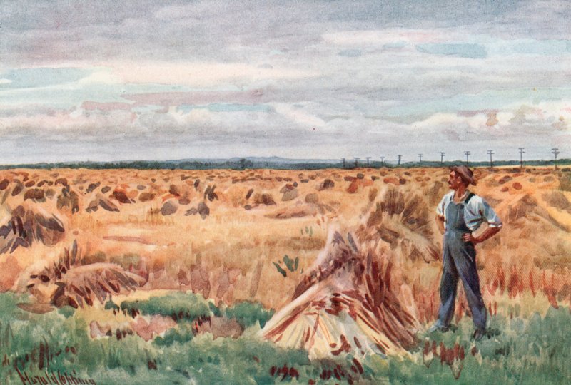 Wzdłuż pól pszenicy Manitoba autorstwa Harold Copping