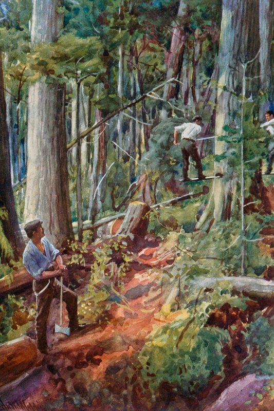 Tartak w Kolumbii Brytyjskiej autorstwa Harold Copping