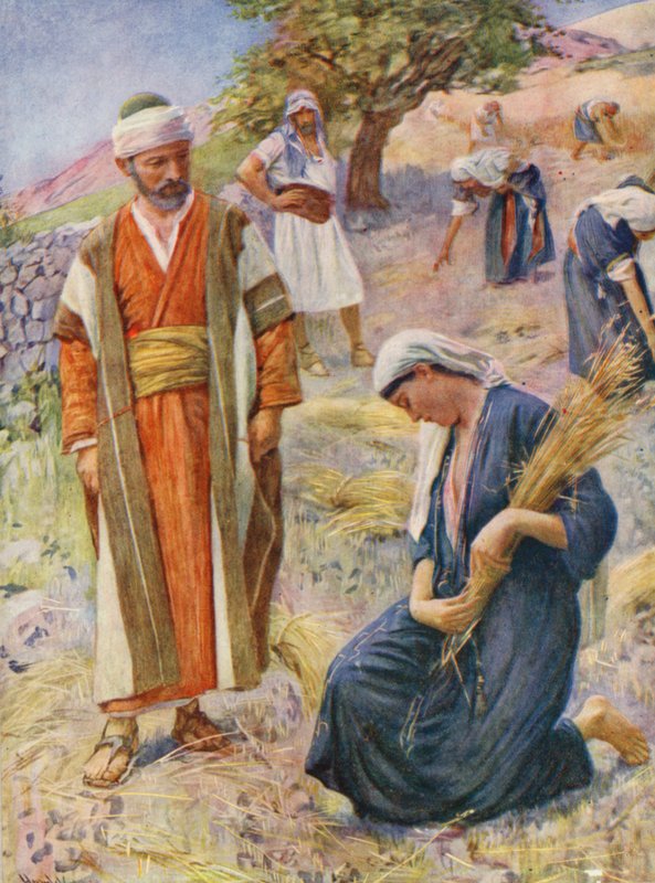 Stary Testament: Rut zbierała na polu (kolorowa litografia) autorstwa Harold Copping