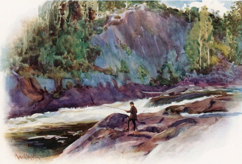 Moon Chute, niedaleko Bala, Pojezierze Muskoka autorstwa Harold Copping