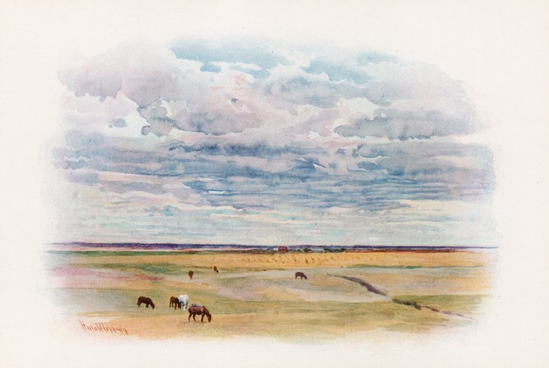 Preria w Elstow, Saskatchewan autorstwa Harold Copping
