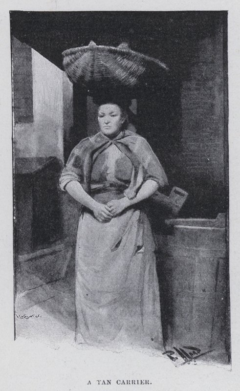 Brązowy przewoźnik (zdjęcie czarno-białe) autorstwa Harold Hume Piffard