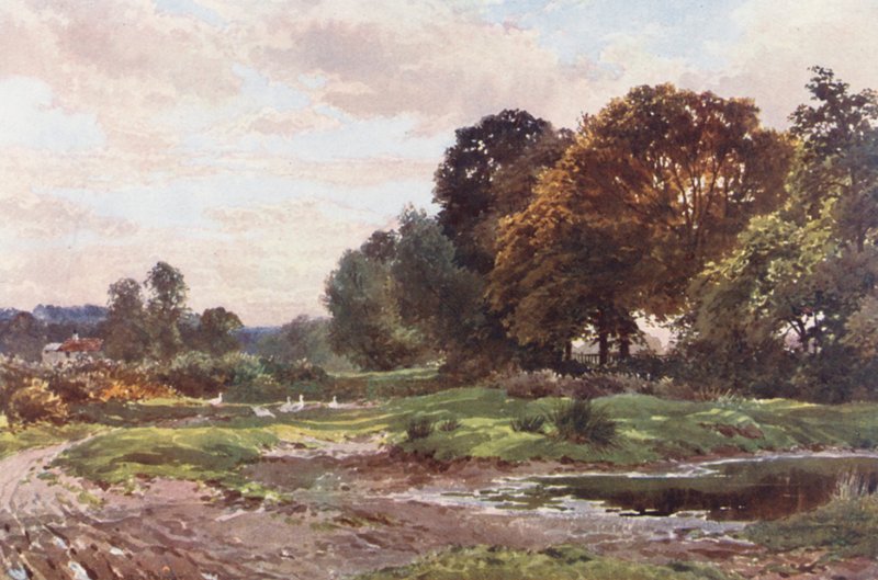 Zakątek Esher Common (kolorowa litografia) autorstwa Harold Sutton Palmer