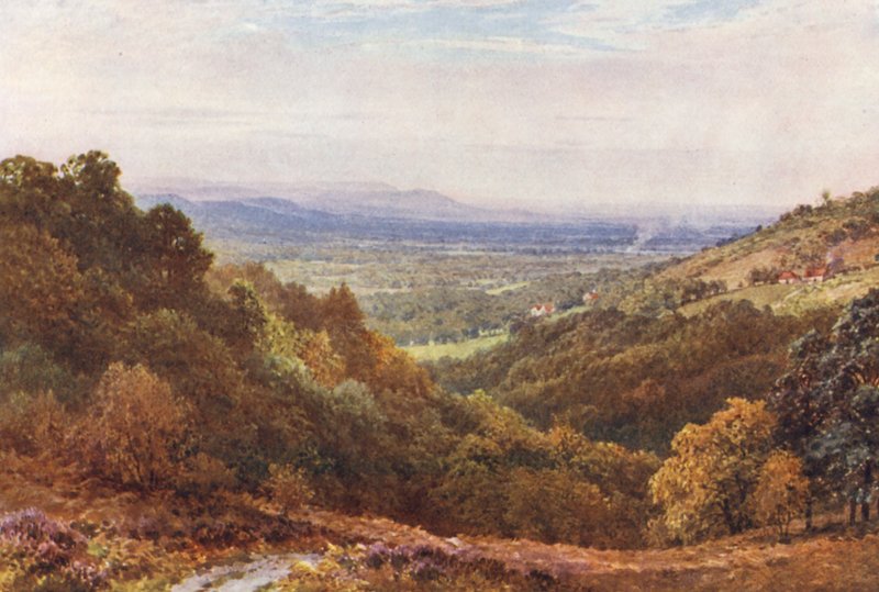 A Wide Stretch, z Gibbet, Hindhead (kolorowa litografia) autorstwa Harold Sutton Palmer