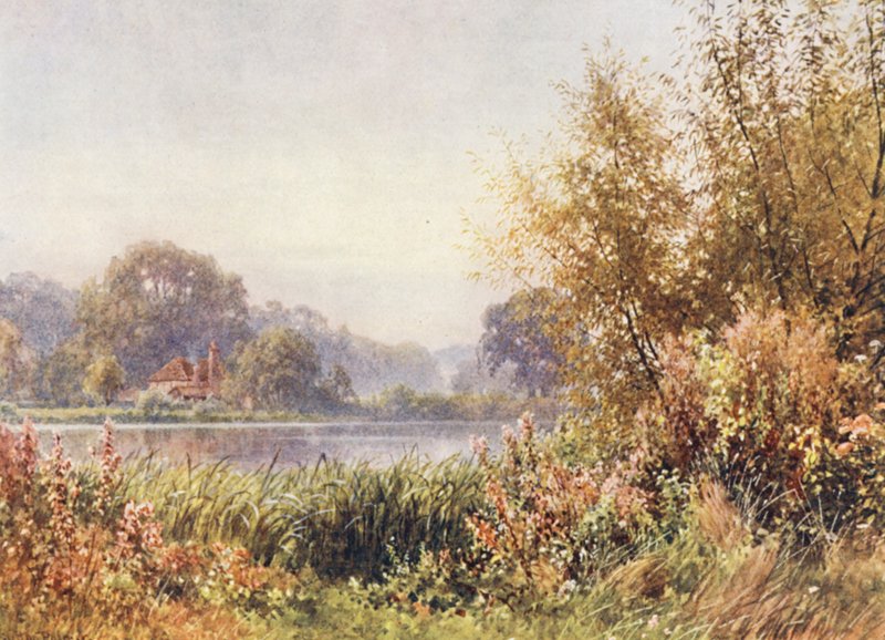 Jesienne chwasty, Chilworth (kolorowa litografia) autorstwa Harold Sutton Palmer