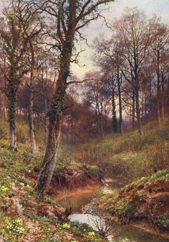 Wieczorna samotność, Ockley (kolorowa litografia) autorstwa Harold Sutton Palmer