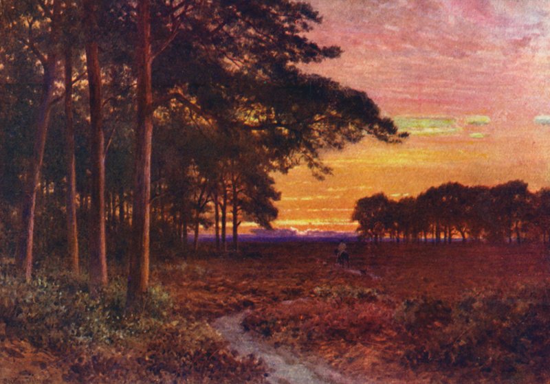 Wieczór na wrzosowiskach, Hindhead (kolorowa litografia) autorstwa Harold Sutton Palmer