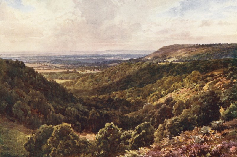 Ze wzgórz powyżej Peaslake, niedaleko Gomshall (kolorowa litografia) autorstwa Harold Sutton Palmer