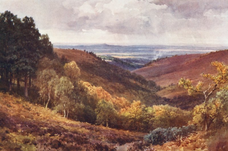 Hindhead, The Punchbowl, patrząc na północ (kolorowa litografia) autorstwa Harold Sutton Palmer