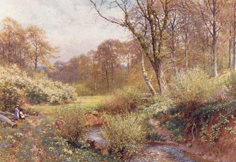 W wiosennym lesie, Ockley (kolorowa litografia) autorstwa Harold Sutton Palmer