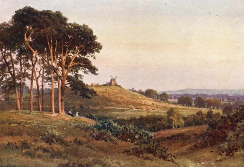 Reigate Heath, wieczór (druk kolorowy) autorstwa Harold Sutton Palmer