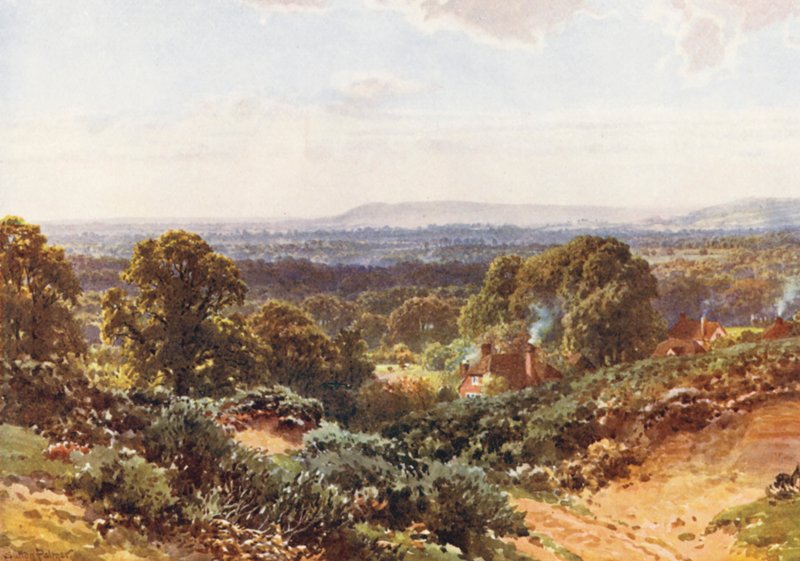 Sandhills, patrząc w kierunku Blackdown (kolorowa litografia) autorstwa Harold Sutton Palmer